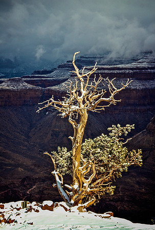 snow 042