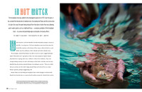 In Hot Water: Native Fish Conservation
