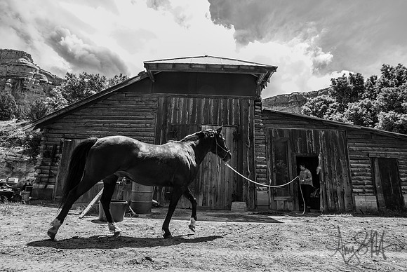 IMG_1366